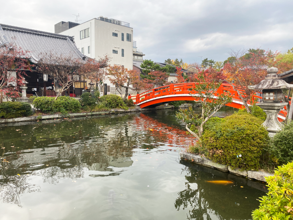 赤い橋と紅葉が美しい神泉苑